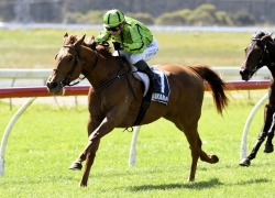 Maiden Magic Review – The Original Horse Betting System For Maiden