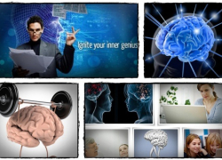 ZOX Pro Brain Training Review – Take Control of Your Life