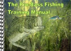 Bass Fishing Tips & Techniques [Honest Review]